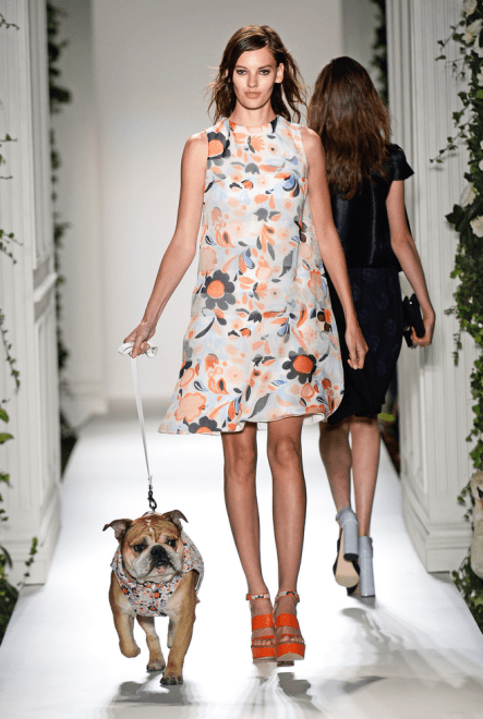 Screen Shot 2013-09-20 at 3.17.47 PM